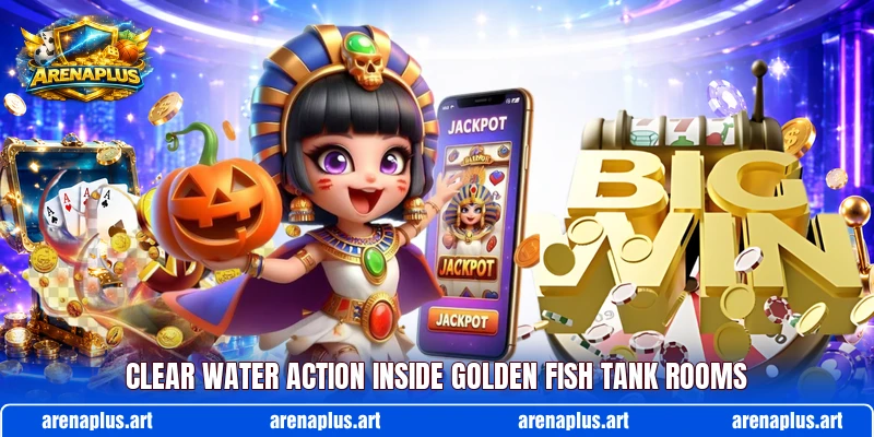 Clear water action inside Golden Fish Tank rooms