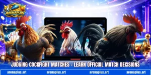 Judging Cockfight Matches – Learn Official Match Decisions